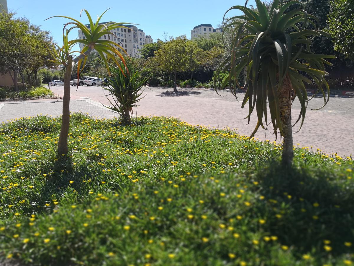 Aparthotel Majorca By Bon